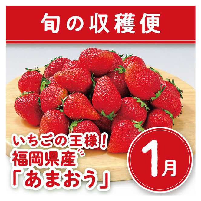 福岡県産「あまおう」