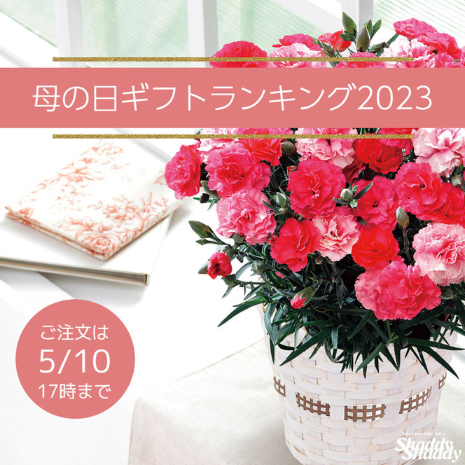 2023年の売れ筋人気ランキング