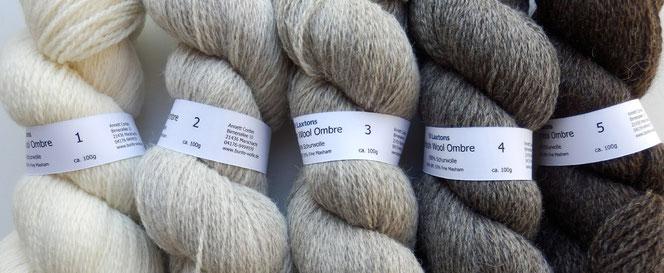 British Wool Ombre