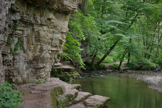 Entlang der Wutach für der Schluchtensteig in die Wutachschlucht hinein. Viele Buchten laden zum Picnic mit der Familie im Urlaub im Hochschwarzwald ein.