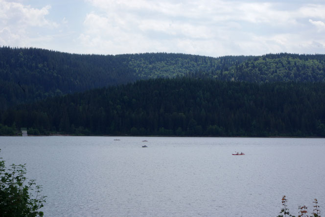 Schluchsee im Schwarzwald - Panoramablick