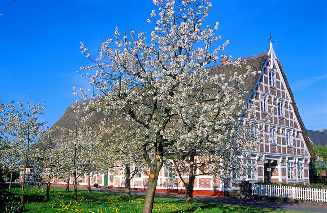 Haddorf Haddorf