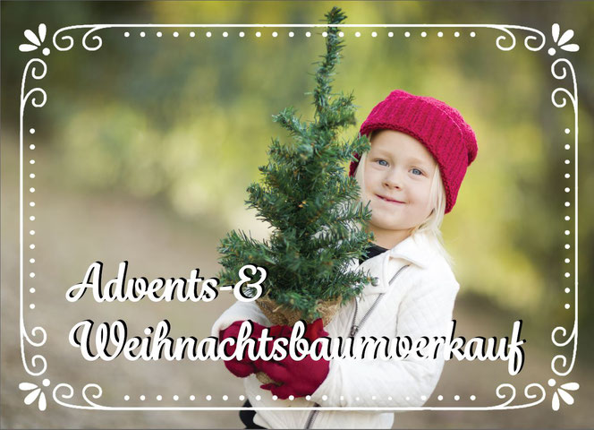 Advent Weihnachtsbaum Sutthausen Osnabrück