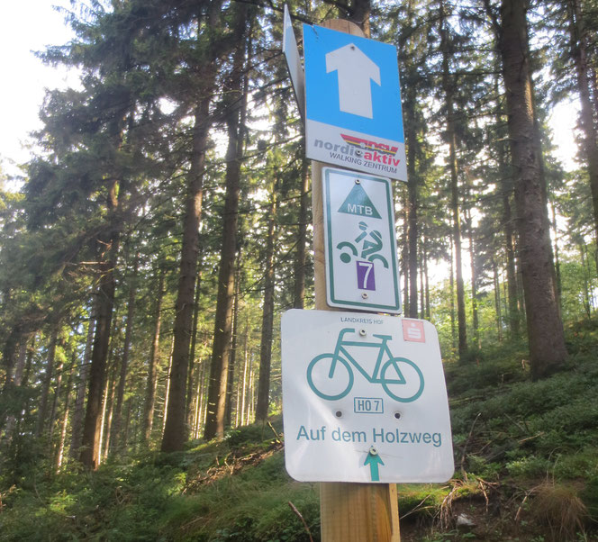 Damit du im weltweiten Netz nicht "auf dem Holzweg" geführt wirst!