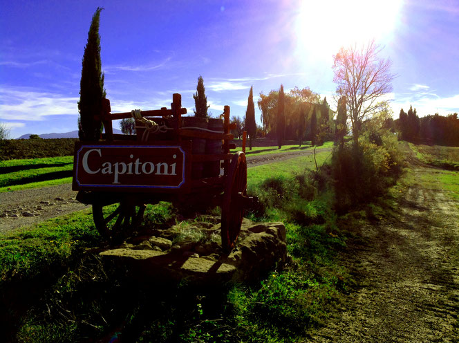 Valdorcia, Toscana, Italia. Itinerari di vino. Blog Etesiaca
