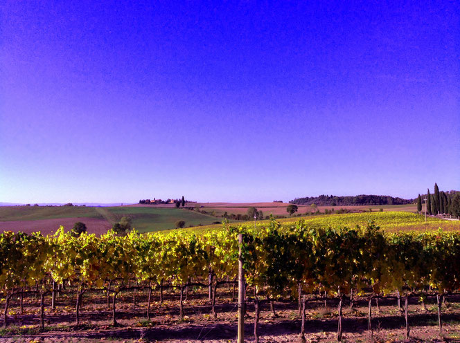 Valdorcia, Toscana, Italia. Itinerari di vino. Blog Etesiaca