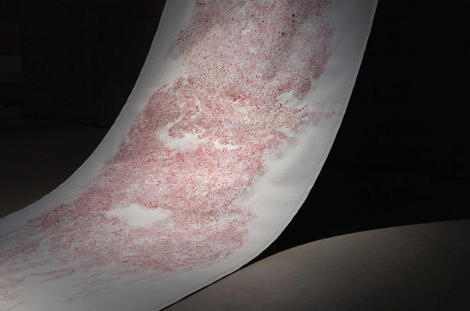 Sangue del mio sangue - 2019