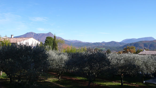 Aiglun, Oliviers, Alpes de Hautes Provence