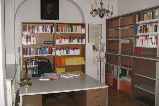 Studierbereich mit Schreibtischen und Regalen für die Bibliothek