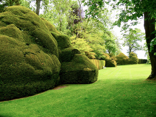 Gartenreise England Sehenswürdigkeiten Dottington Place and Gardens Eibenhecken