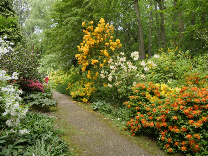 Gartenreise England Sehenswürdigkeiten Dottington Place and Gardens