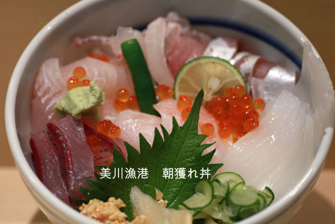 美川漁港でその日の朝獲れたお魚の海鮮丼です。　朝獲れ丼　鮨　美浜