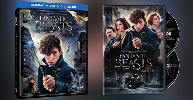 L’intégrale du Monde des sorciers : Harry Potter & Animaux fantastiques  [Blu-ray]