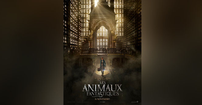 L'affiche française des "Animaux Fantastiques"