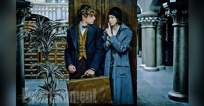 Norbert Dragonneau (Eddie Redmayne) et Porpentina Goldstein (Katherine Waterston)