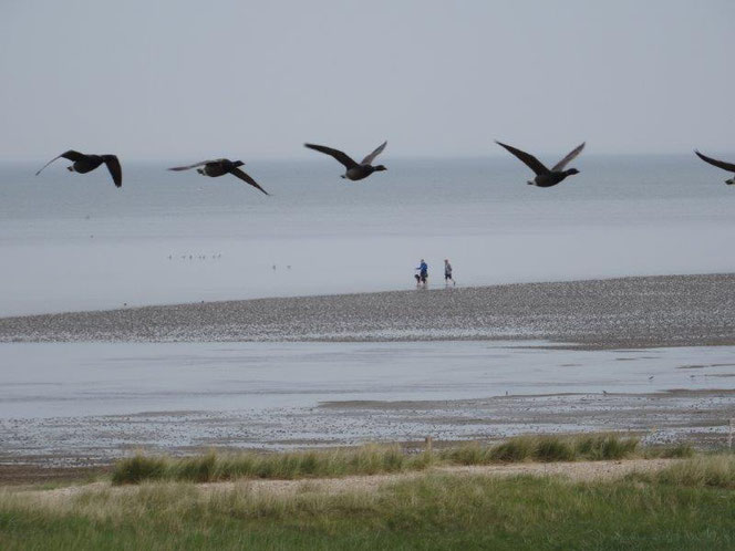 Ferien an der Nordsee