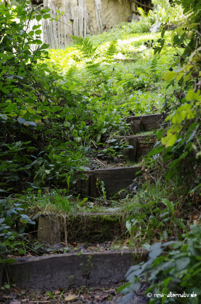 Treppe im AFM zum Kräutergarten 