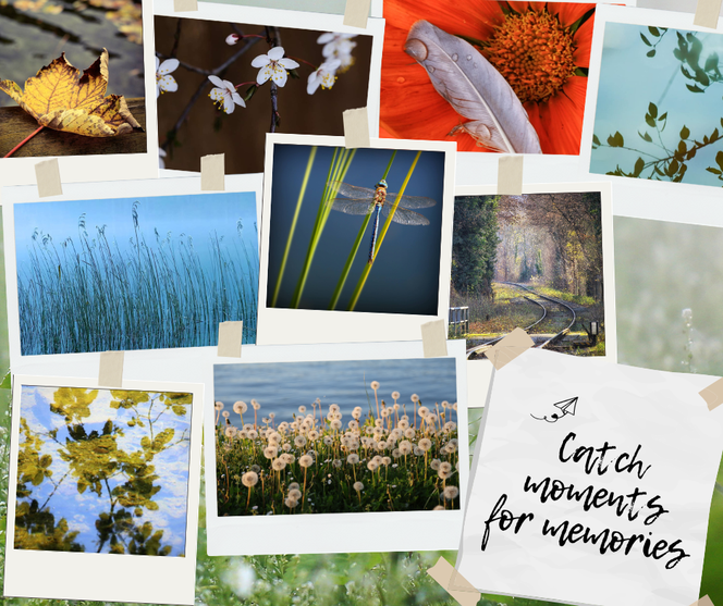 Potpourri aus meinem Portfolio