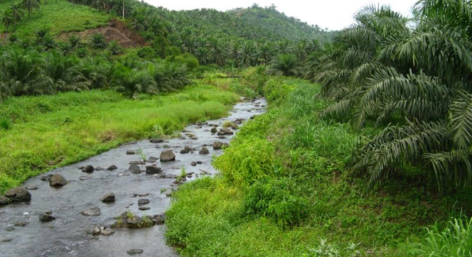 Foto: Volker Bohnet, Moliwe-River in Kamerun, 2008