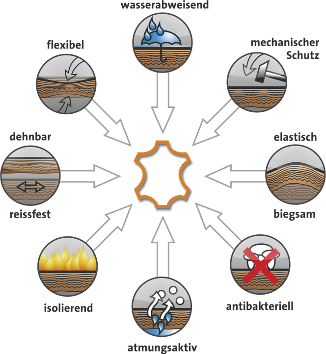 Grafische Darstellung der wesentlichen Vorteile von Leder, vereint in einem Material.