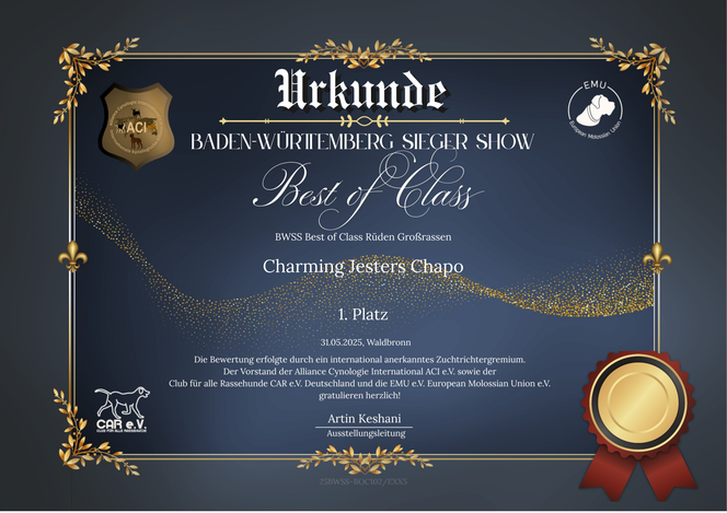 Urkunde - Best of Class