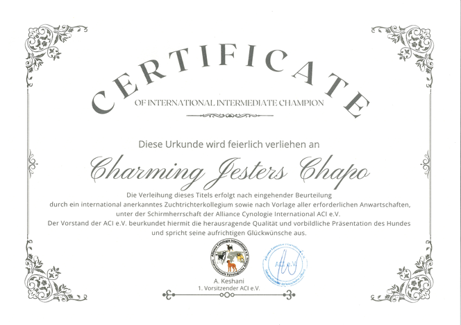 Certificate - International Intermediate Champion 