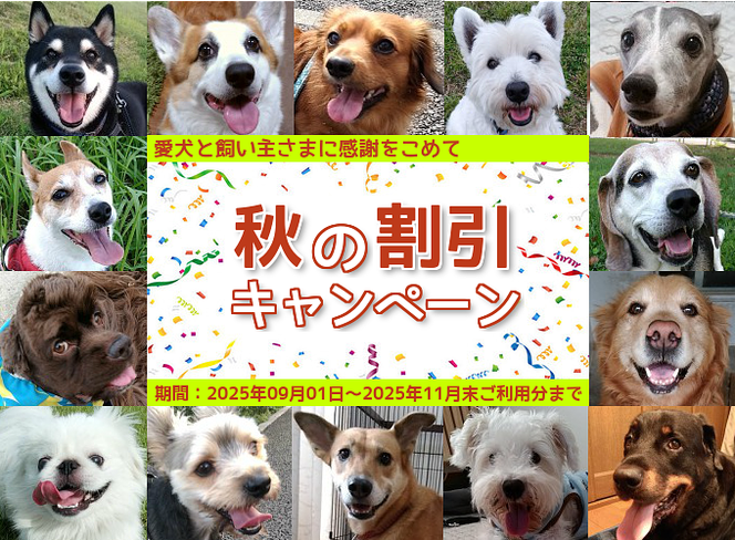 秋の割引キャンペーン