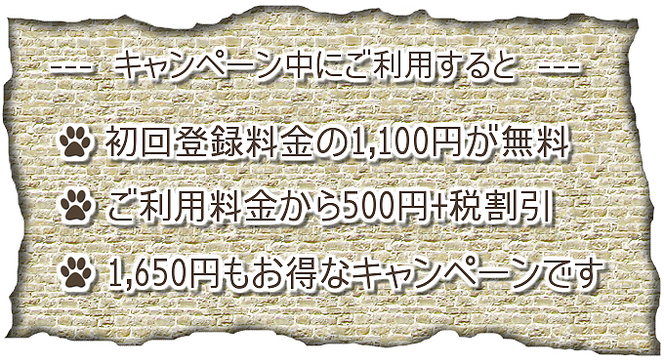 キャンペーン中にご利用すると