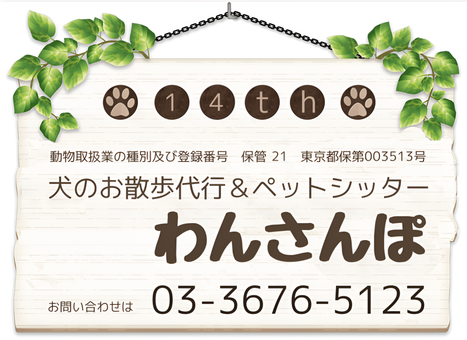 愛犬画像