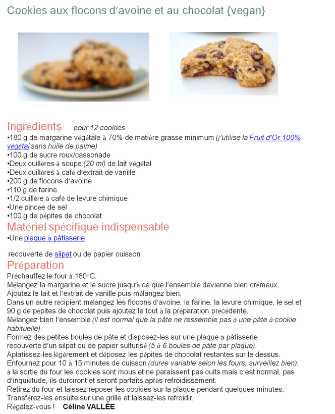 Cookies aux flocons d'avoine et au chocolat par Céline VALLÉE