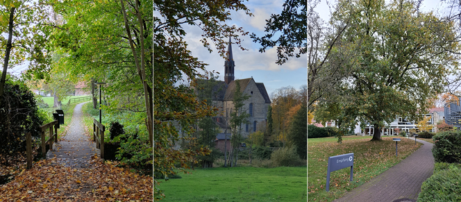 Dieser Weg verbindet das Kloster Loccum mit der Evangelischen Akademie