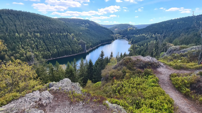 Blick auf den Stausee - Nicontours