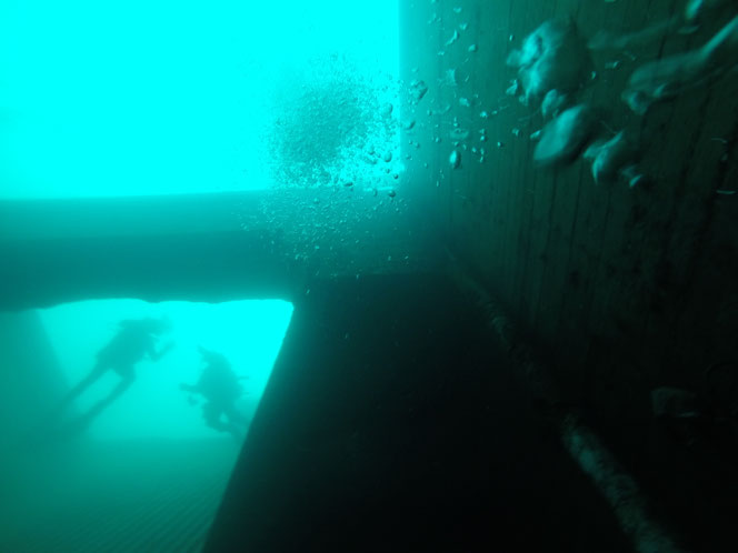 Dive Lounge Team im Kreidesee Hemmoor