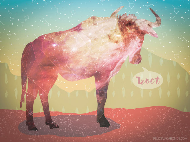 100 drawings - Felice Vagabonde, Illustratorin aus Hamburg! Gnu, (c) 2015