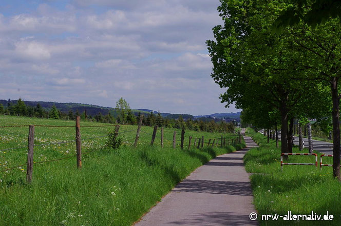 Ruhrtal Radweg radfahren ruhr