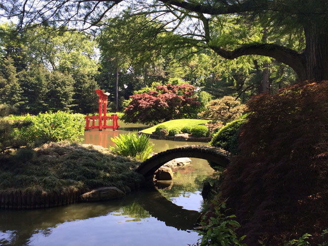             Brooklyn Botanic Garden                                                                                          