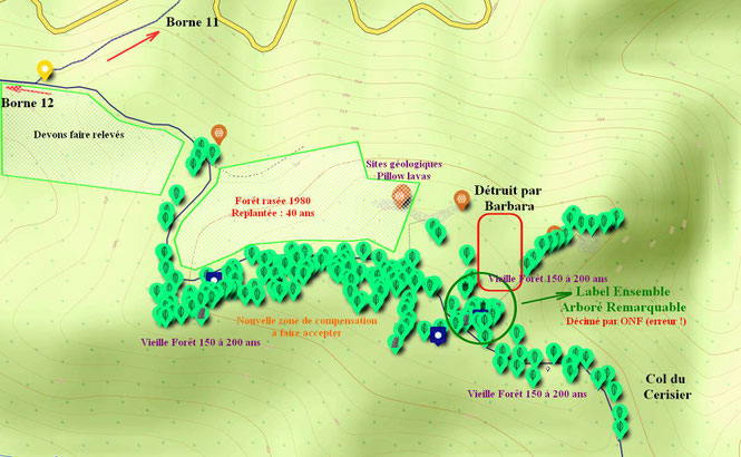 Parcelle labellisée mise à mal et zone voisine pour compensation située le long du chemin VTT et pédestre. Maintien d'une des dernières portions de vieille forêt en mémoire de la forêt Cathédrale avec l'association ACCOB d'Oloron