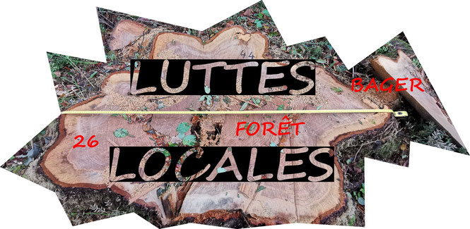 Luttes Locales avec l'association ACCOB en forêt du Bager - manifestation nationale pour protéger le vivant à Oloron-64400