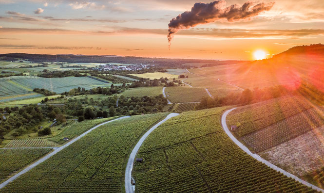 Hofgut Loh Sonnenuntergang WeinbergeKöchersberg