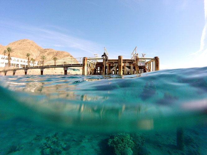 the spa at dolphin reef