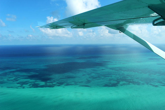 Tiny airplane in Belize