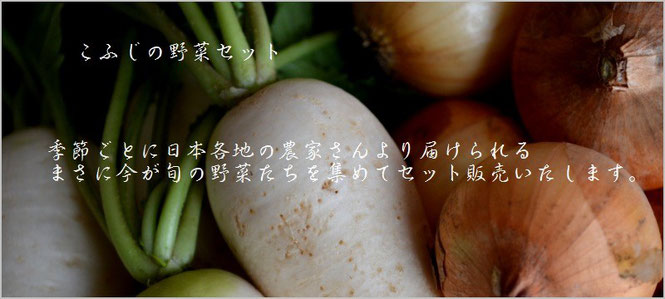 元気な野菜 こふじ
