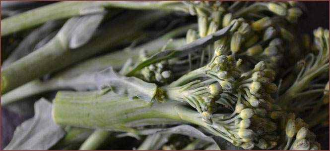 無農薬野菜 スリーエフ農法