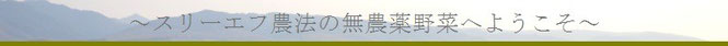 スリーエフ農法の無農薬野菜へようこそ