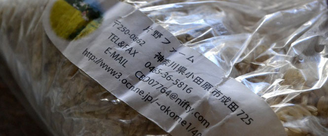 スリーエフ農法の無農薬野菜 片野ファーム