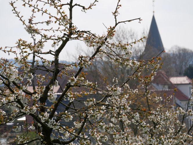 dorfblick-hagens Webseite!