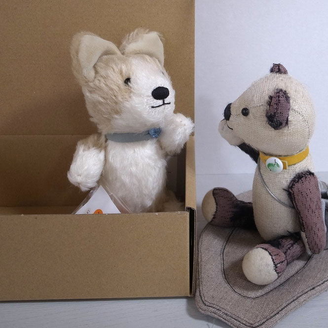 panchiblog 20251027 バイバイ写真