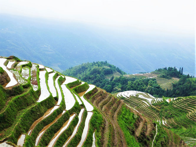 Reisterrassen von Longsheng, China (Foto Reinhard Helle)