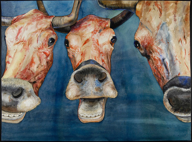 Vacas riendo 2007, acuarela 56X76 cm