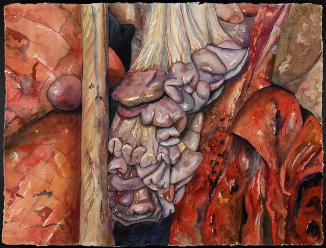 Pliegues 2007, acuarela 56X76 cm